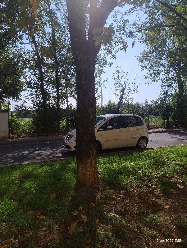 Anteprima segnalazione 1148